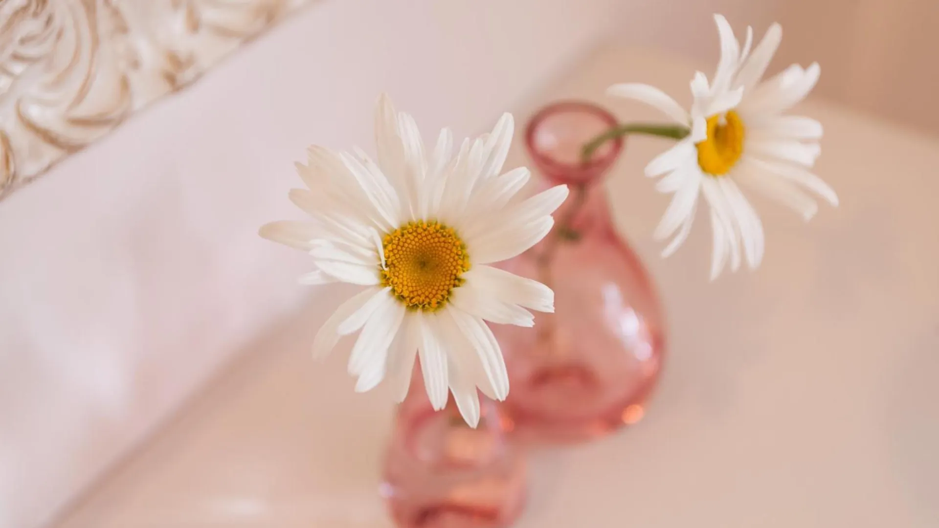 Guesthouse Casa Vittoria Ρόβινι
