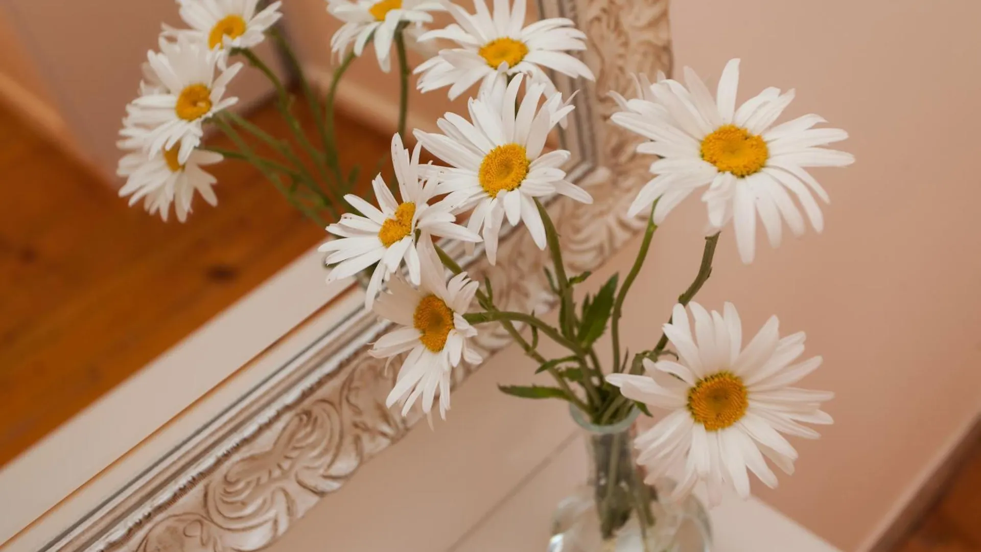 Guesthouse Casa Vittoria Rovinj Gasthuis